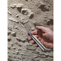 Brute de Forge Chasse